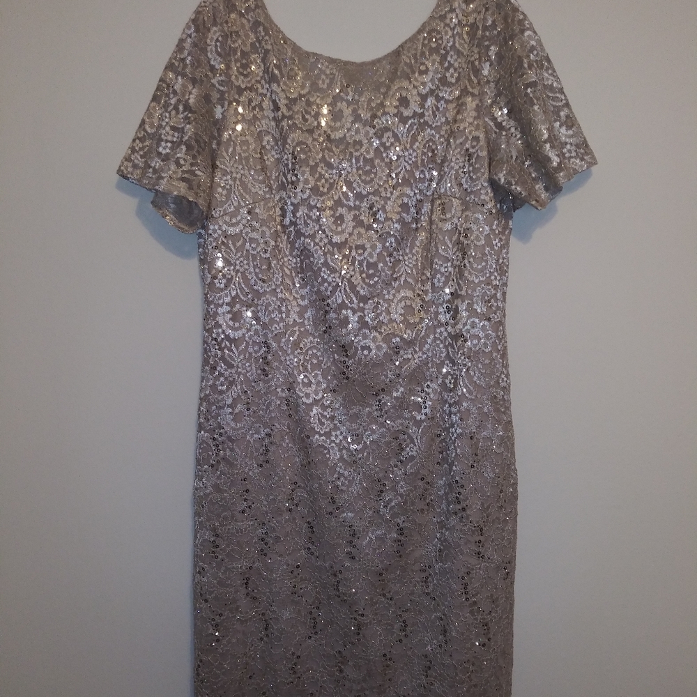 Dressy Lace Sequin Sheath Dress
